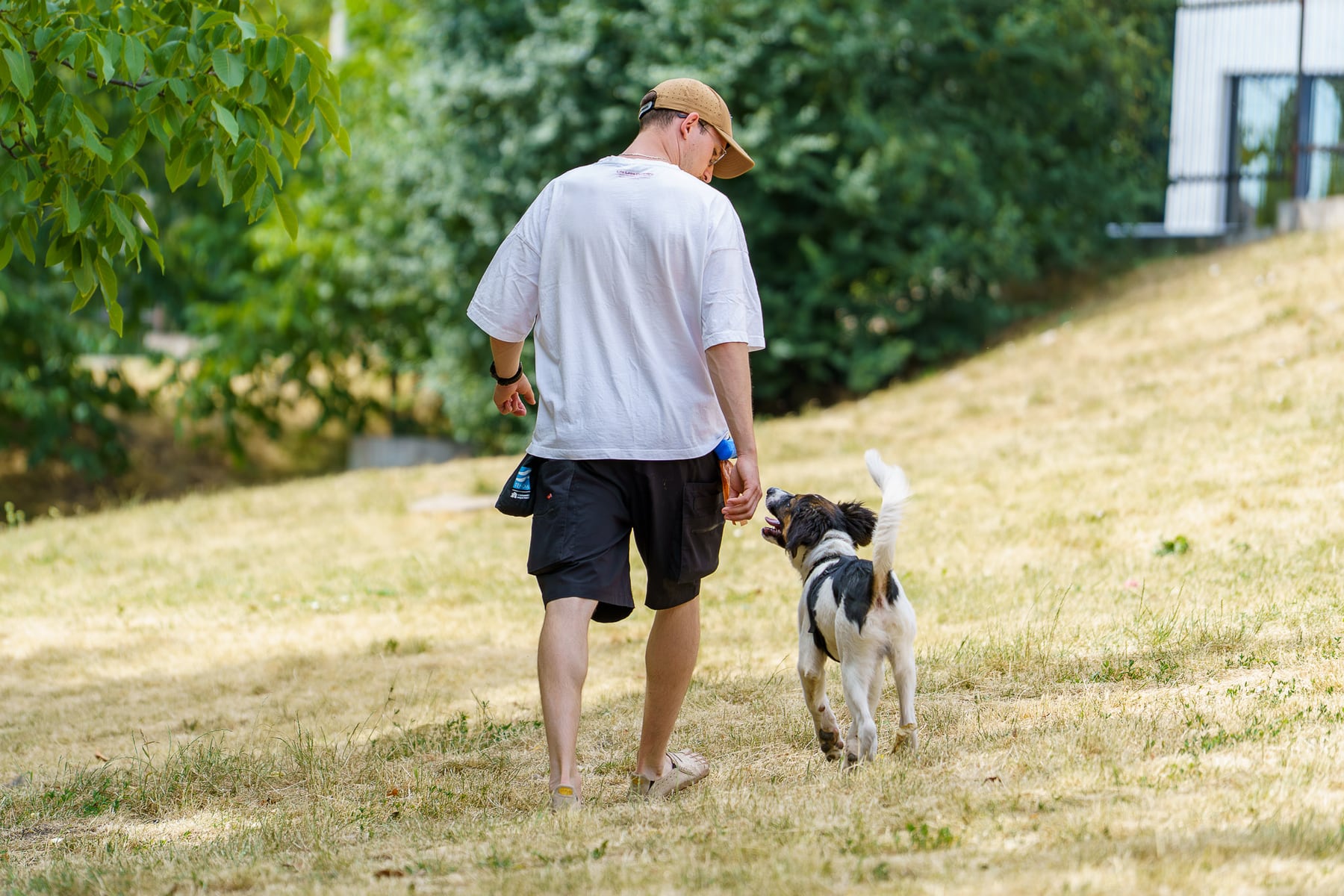 Krisztián walking through a sunlit park with his dog